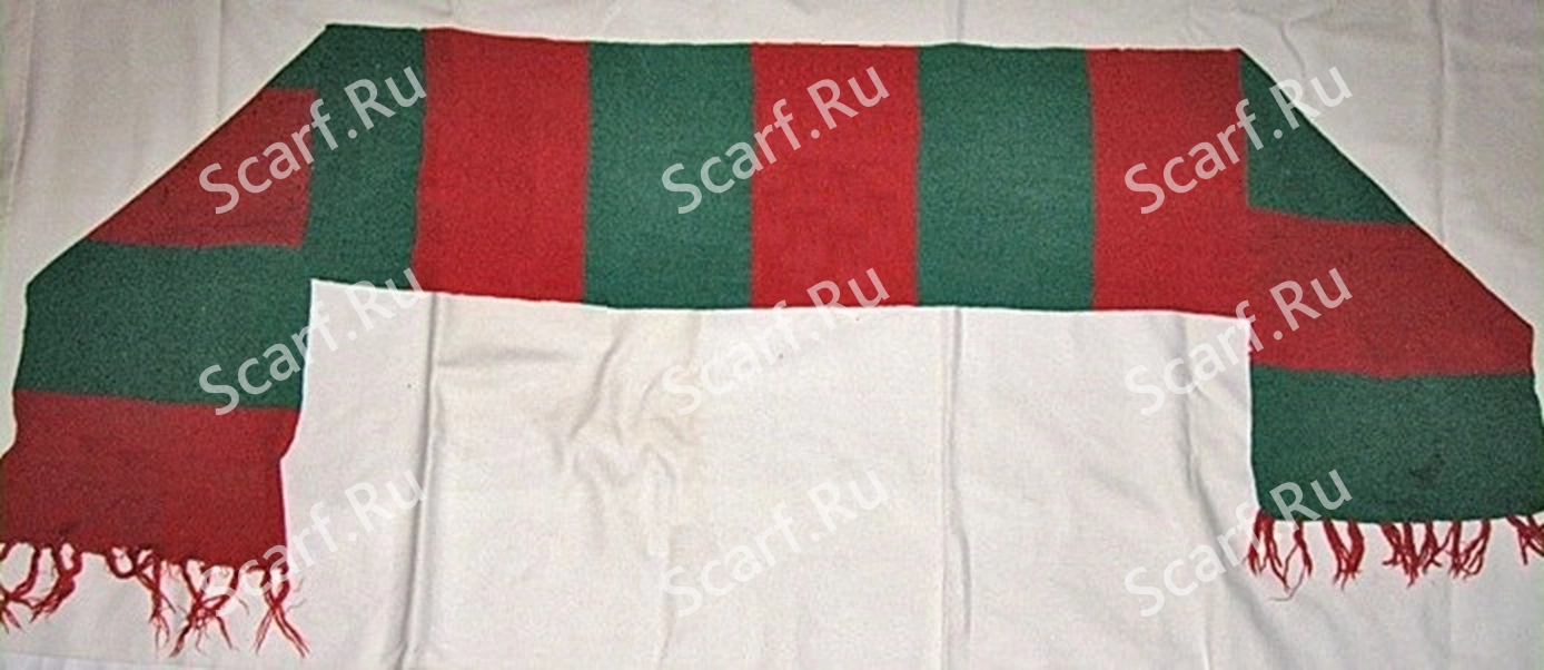 Шарф Локомотив Михнево